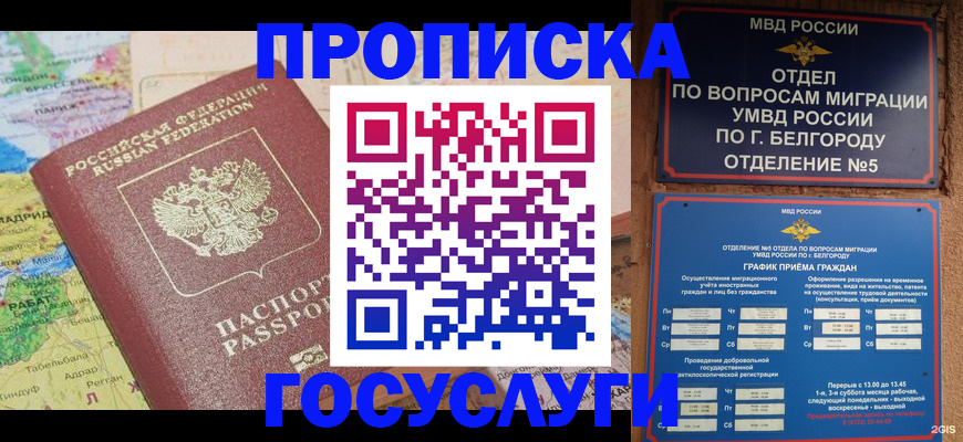 прописка регистрация в Коле